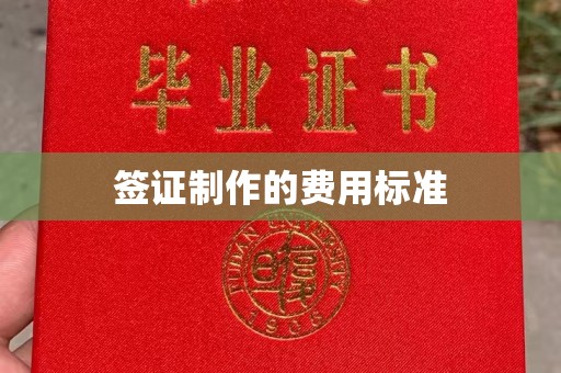 依兰签证制作的费用标准